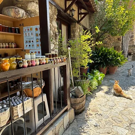 Adela Coral-bay 3b, Private Pool, Seaside Peyia