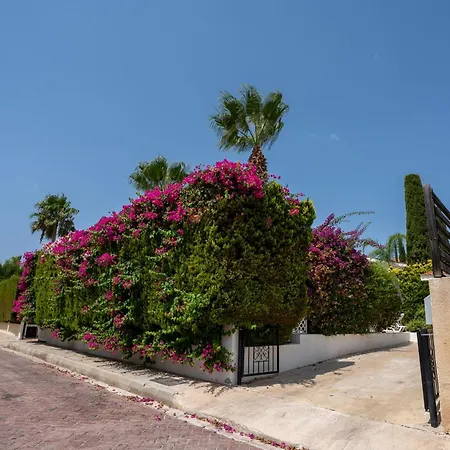 Adela Coral-bay 3b, Private Pool, Seaside * Peyia