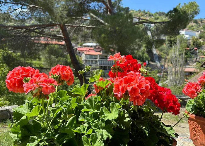 Adela Coral-bay 3b, Private Pool, Seaside ペイヤ